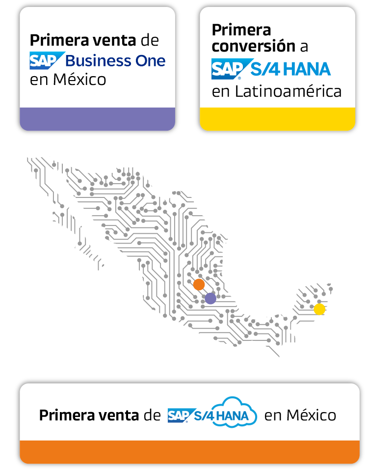 Cotización SAP-2