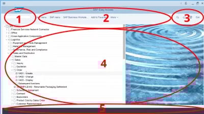 GUI DE SAP 1