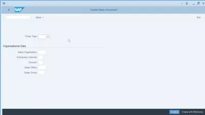 GUI DE SAP 2