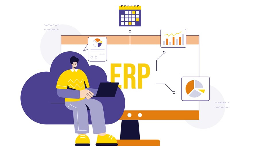 ¿Qué son los sistemas de planificación de recursos empresariales?
