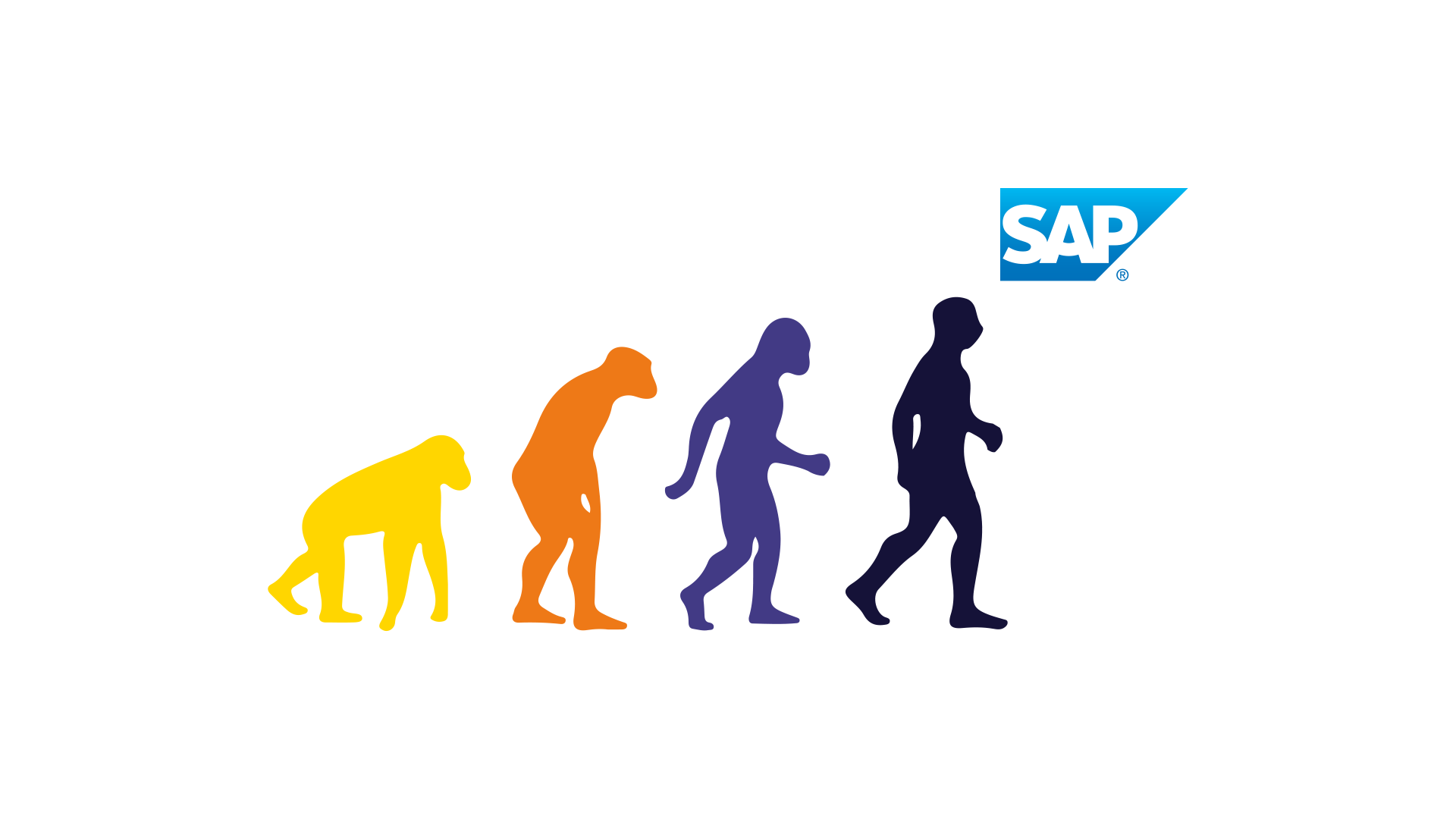 Tipos de SAP