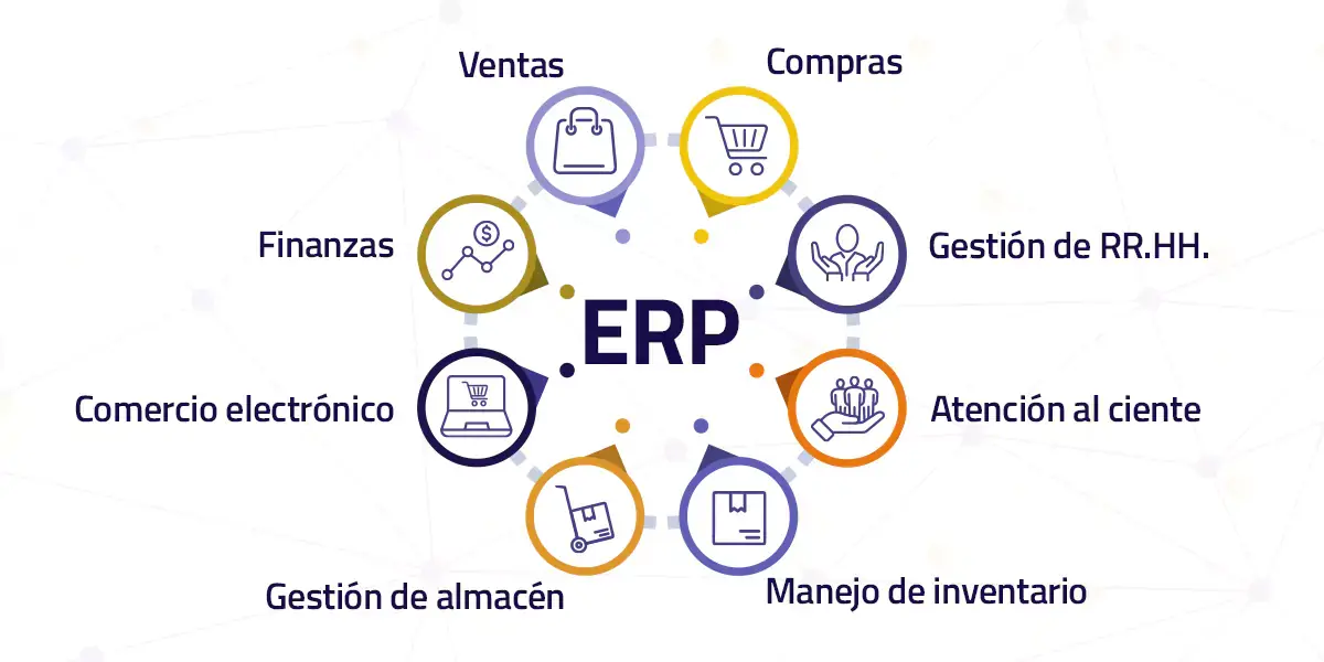 ERP Ejemplos