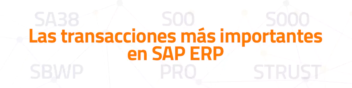 info-blog-transacciones-sap-26-11-23