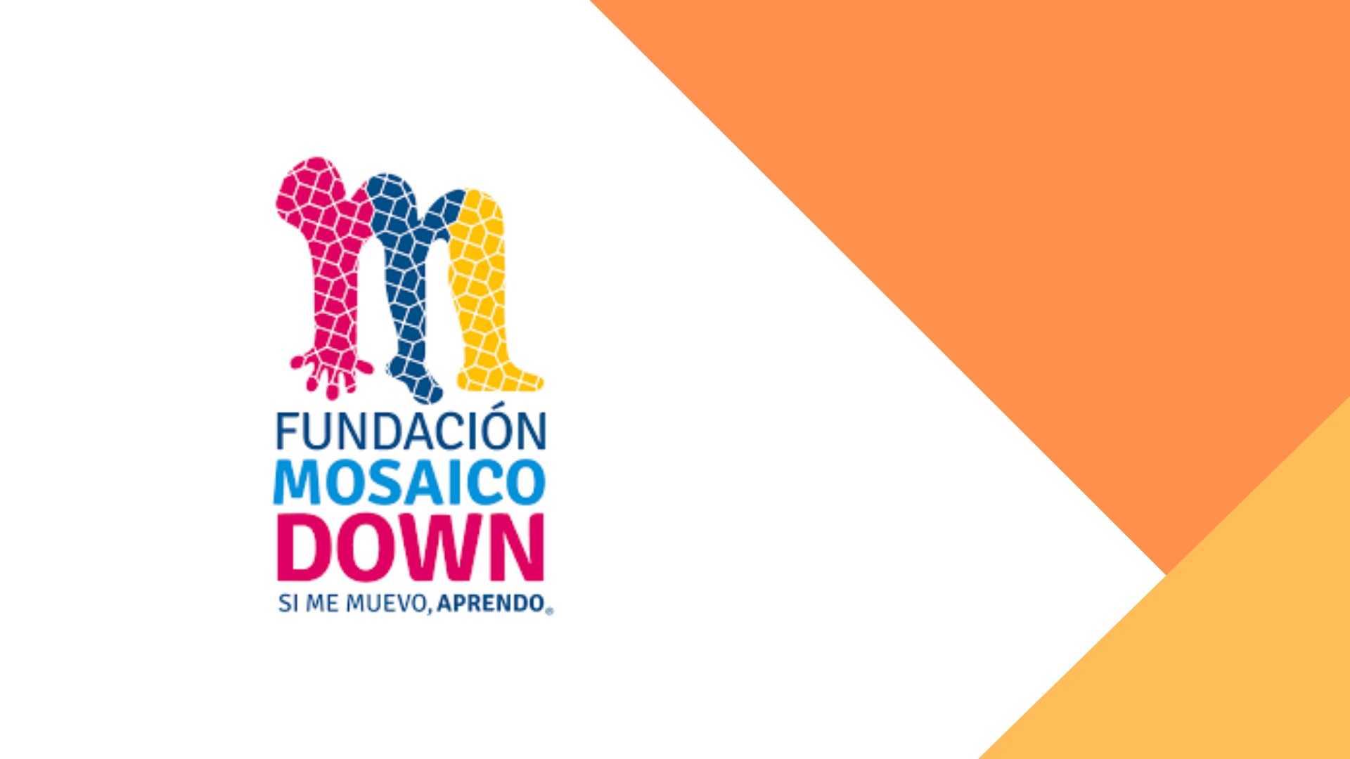 Caso de éxito: Fundación Mosaico Down