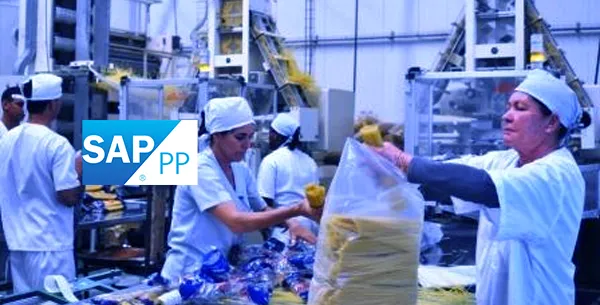 Guía completa para entender SAP PP (Planificación de la producción)